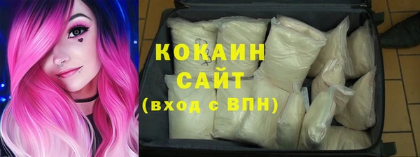 стаф Каменка