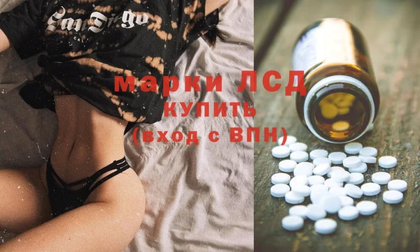 стаф Каменка