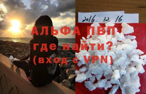 скорость Каменногорск