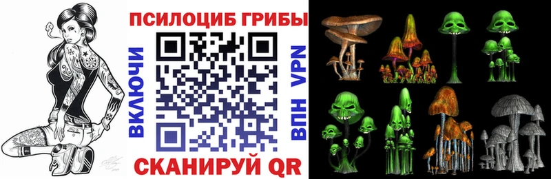 Галлюциногенные грибы Psilocybe  где купить   Алейск 